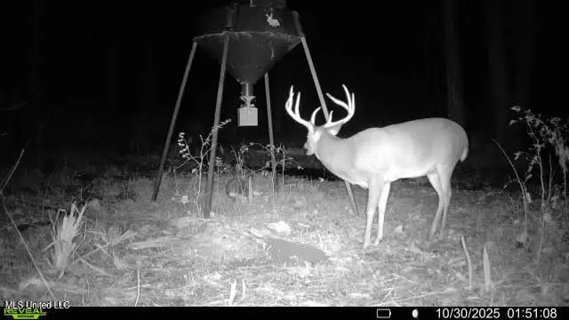 Highway 12, Tchula, MS 39169 - Image #2