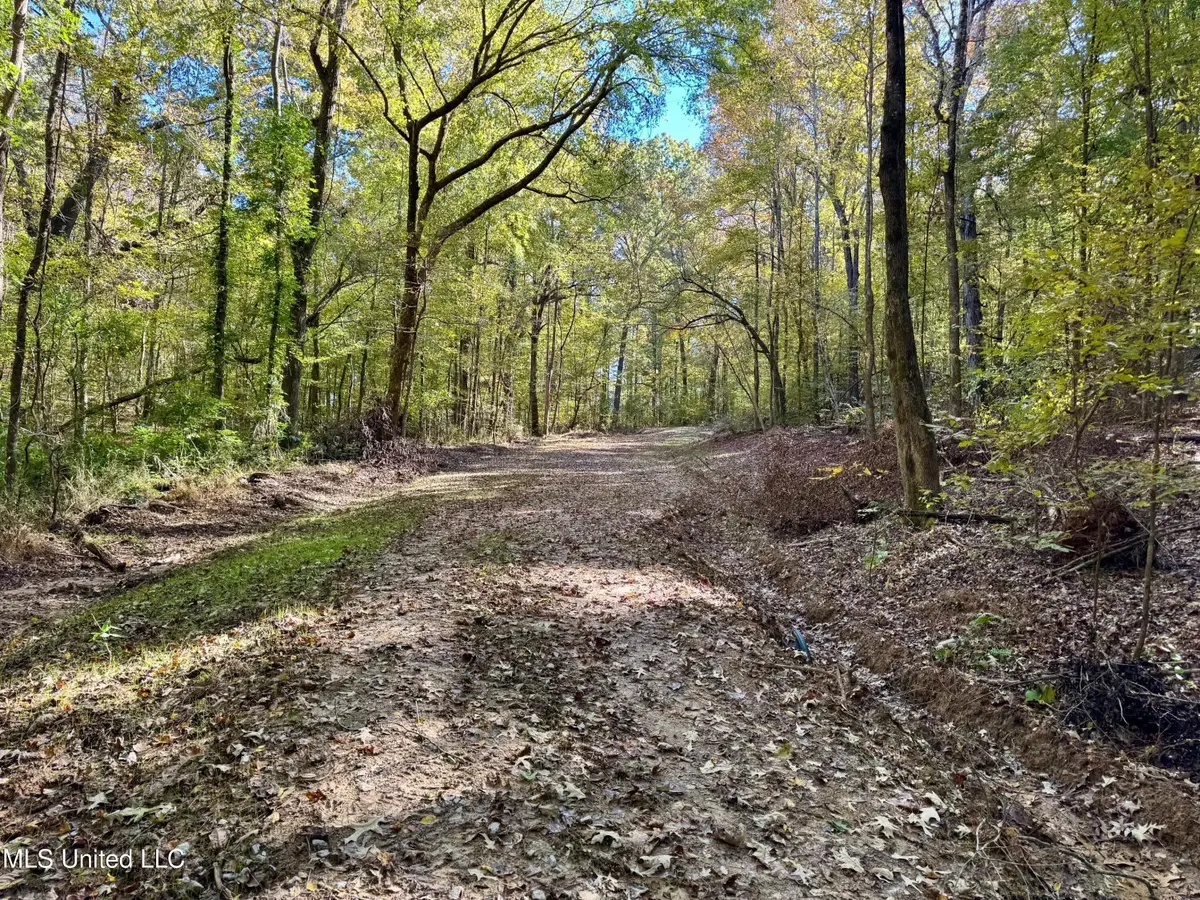 Tbd Cr 493, Oxford, MS 38655 - Image #1