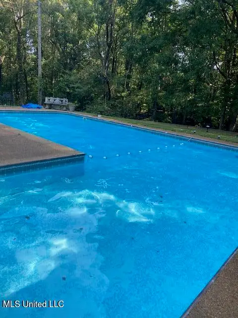 365 Cedar Hills Road, Holly Springs, MS 38635 - Image #3