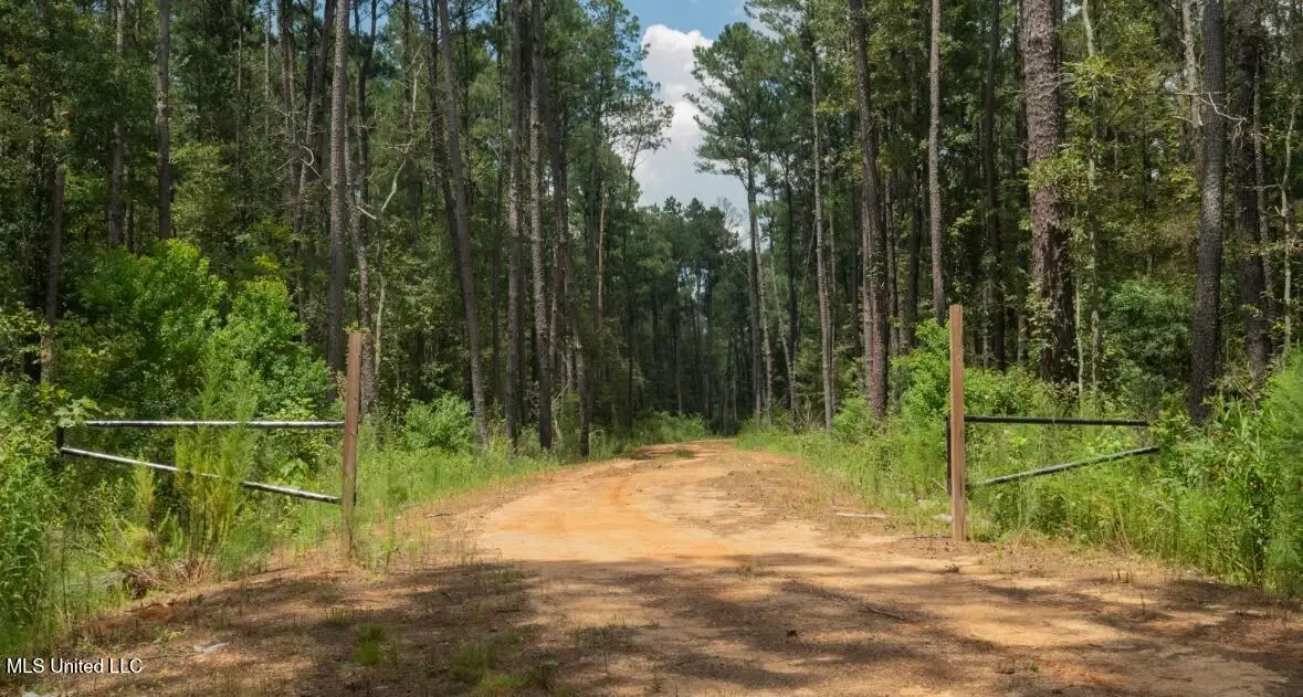 Ebenezer Church Road, Bassfield, MS 39421 - Image #1