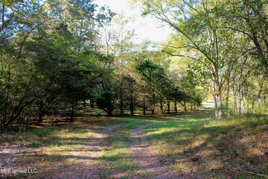 636 Livingston Vernon Road, Flora, MS 39071 - #3