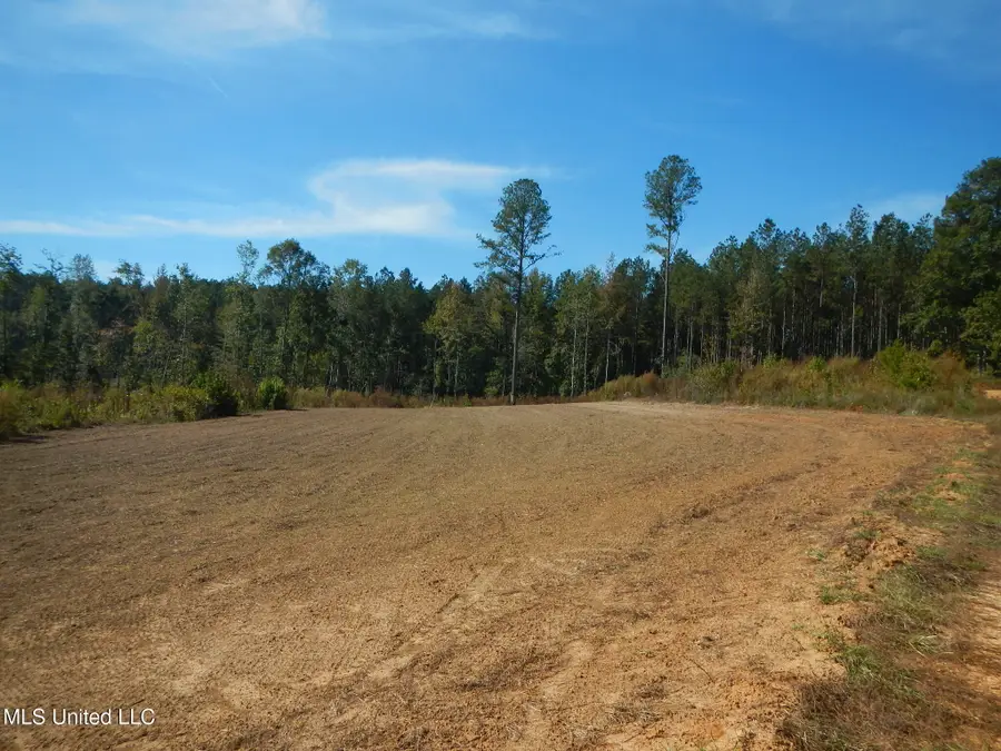 Causeyville Road, Meridian, MS 39301 - Image #3