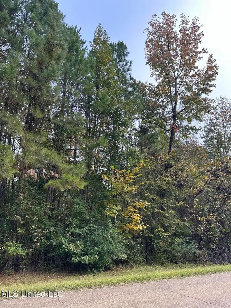 Mcraven Road, Clinton, MS 39056 - Image #2