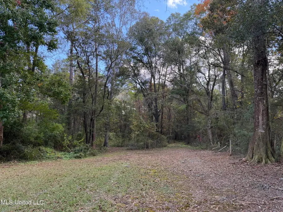 R. B. Dickerson Road, Moss Point, MS 39562 - Image #2