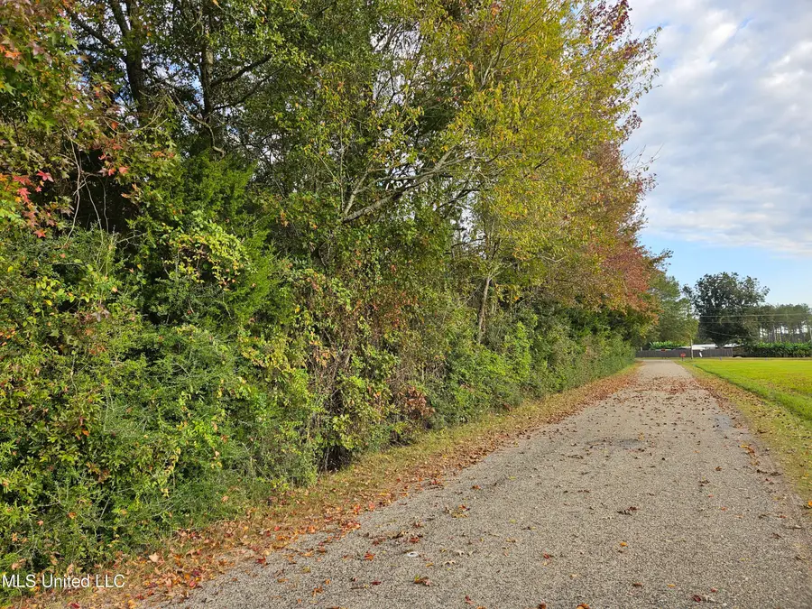 Mt Sinai Road, Foxworth, MS 39483 - Image #2