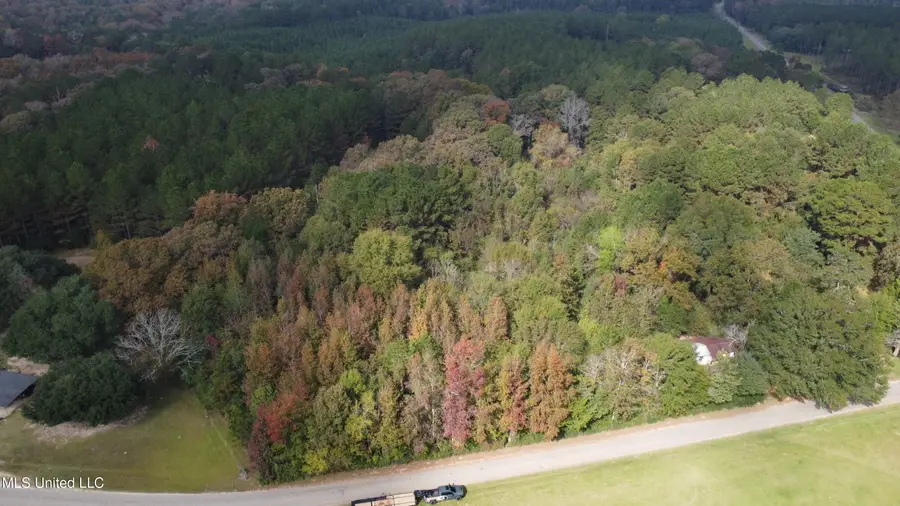 Mt Sinai Road, Foxworth, MS 39483 - Image #3