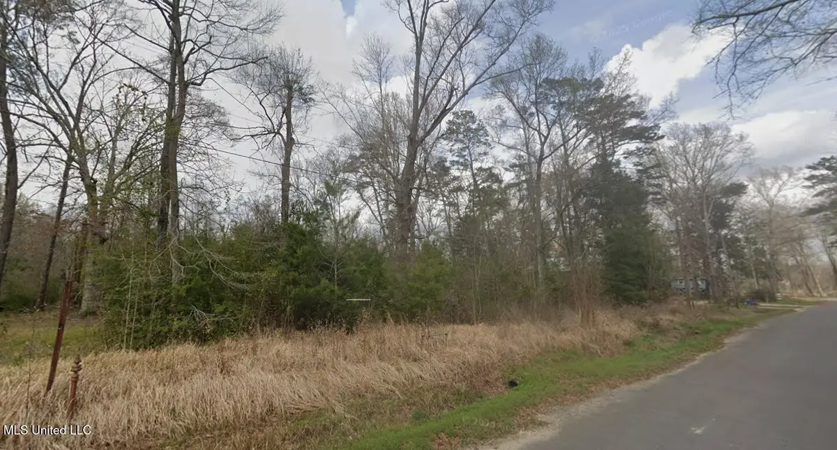 Holly Drive, Lucedale, MS 39452 - Image #1