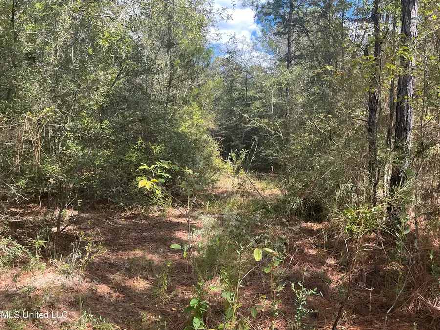 Nhn Betsy Branch Road, Lucedale, MS 39452 - Image #3
