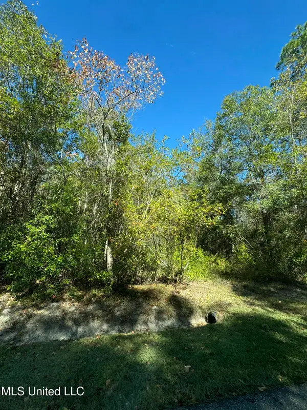 Indian Street, Bay Saint Louis, MS 39520