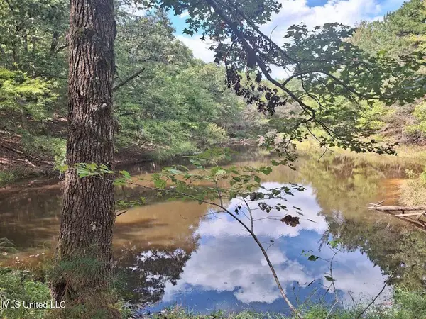 1788 County Road, Water Valley, MS 38965