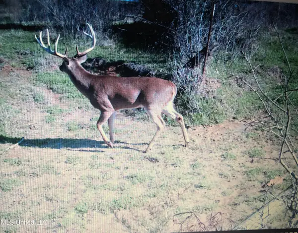 001 Farr Road, Bolton, MS 39041