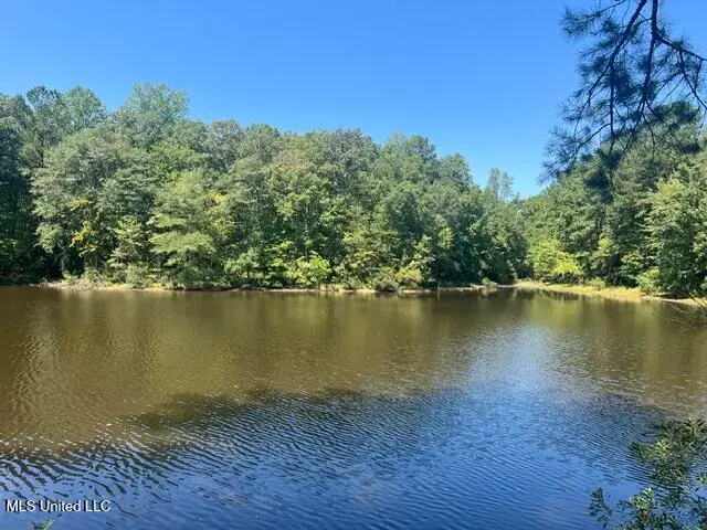 Co Road 2428, Enterprise, MS 39330 - Image #1