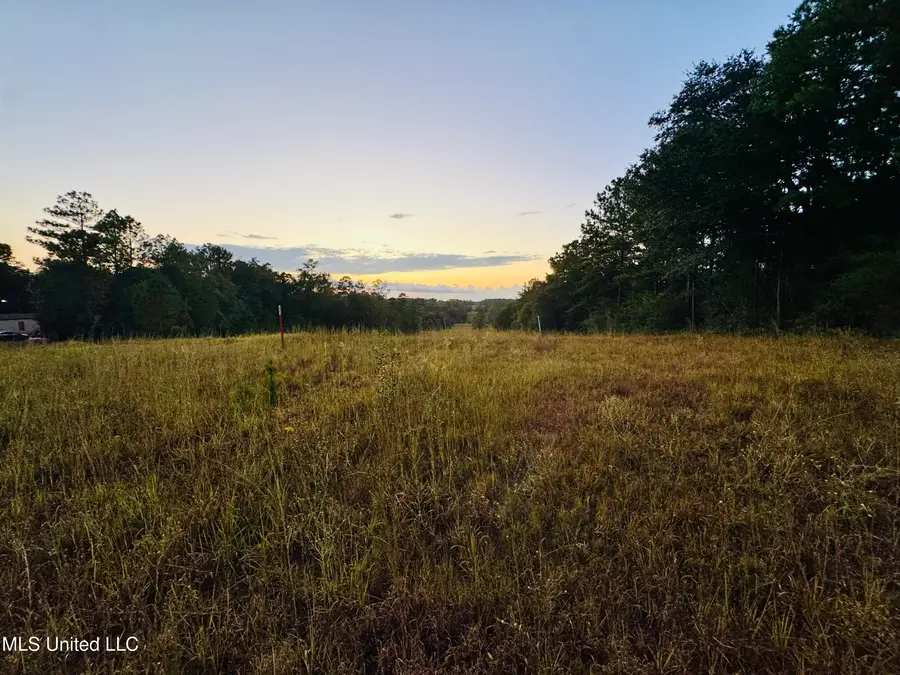 Cooks Corner Road, Lucedale, MS 39452 - Image #2