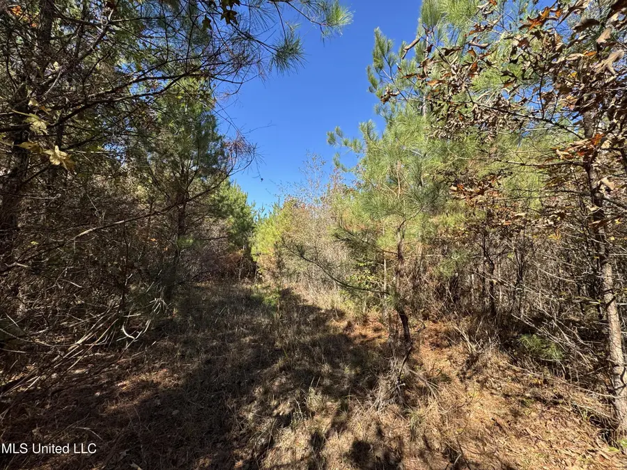 0 Highway 16, De Kalb, MS 39328 - Image #3