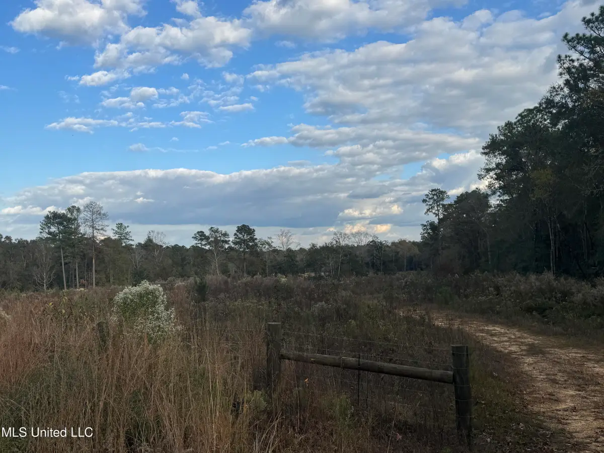 Fruitland Park Road, Wiggins, MS 39577 - Image #1