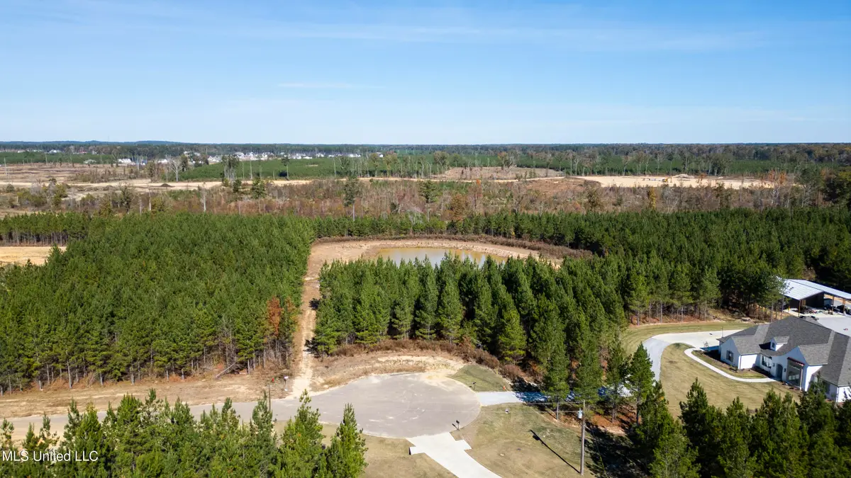 0 Freedom Ridge Lane, Brandon, MS 39047 - Image #1