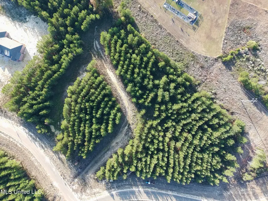 902 Old Glory Lane, Brandon, MS 39047 - Image #3