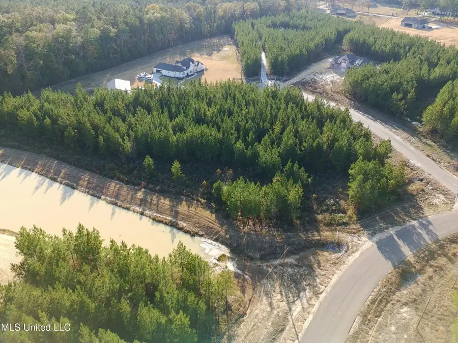 903 Old Glory Lane, Brandon, MS 39047 - Image #2