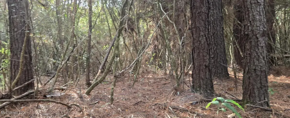 275 Pushapatapa Road, Tylertown, MS 39667 - Image #1