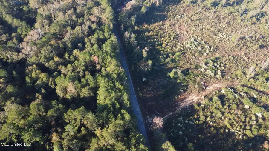 275 Pushapatapa Road, Tylertown, MS 39667 - Image #3