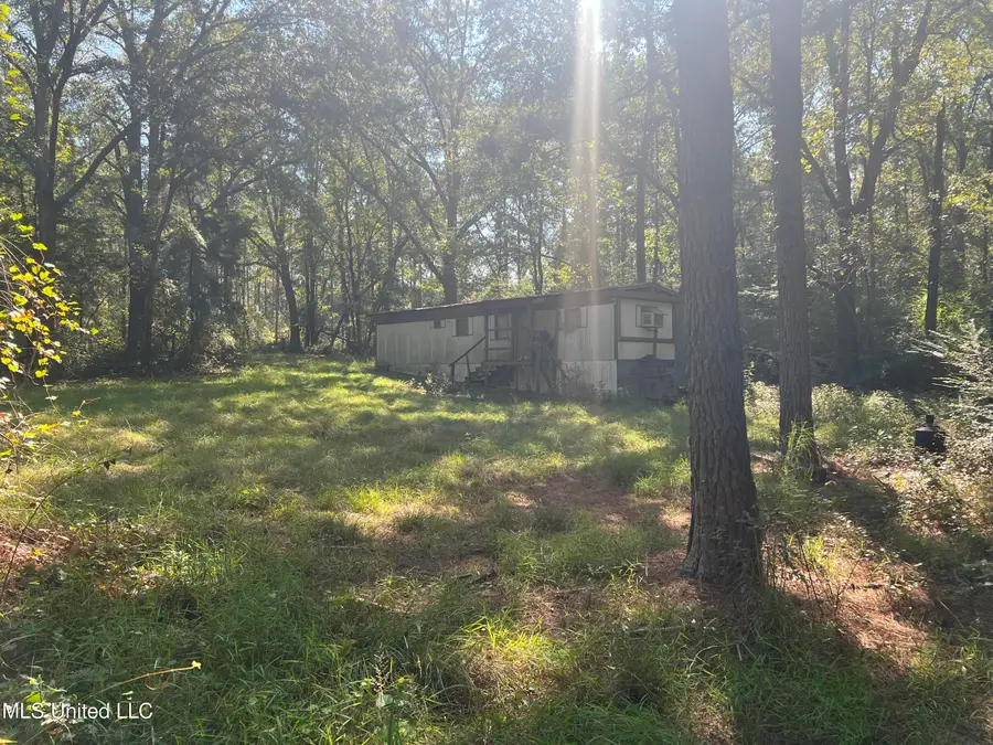 Co Road 24, Heidelberg, MS 39439 - Image #2