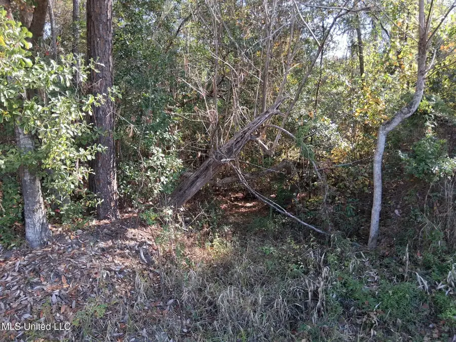 0 Camillia Street, Kiln, MS 39556 - Image #2