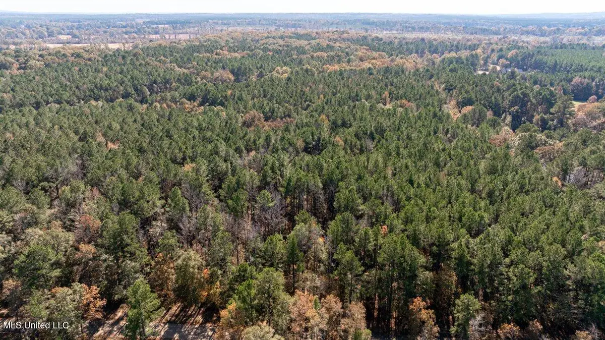 Jc Prestage Rd, Pelahatchie, MS 39145 - #1