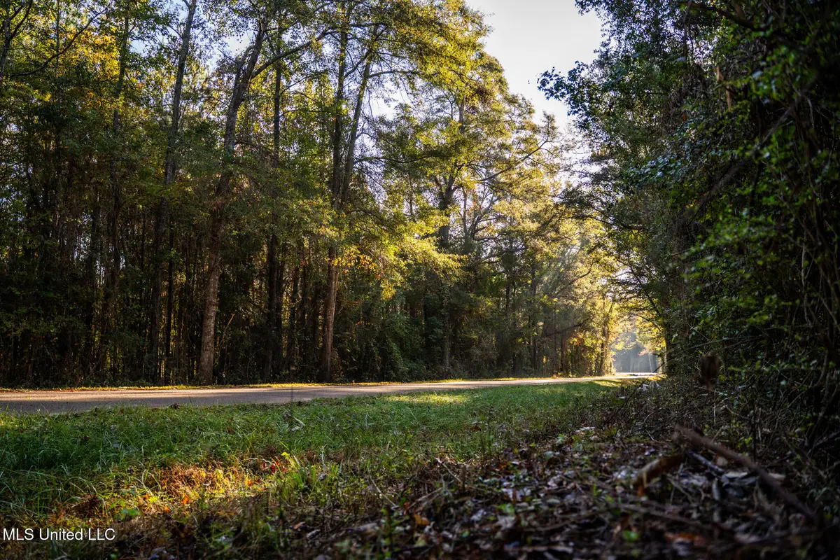Sand Flat Road, Meridian, MS 39301 - Image #1