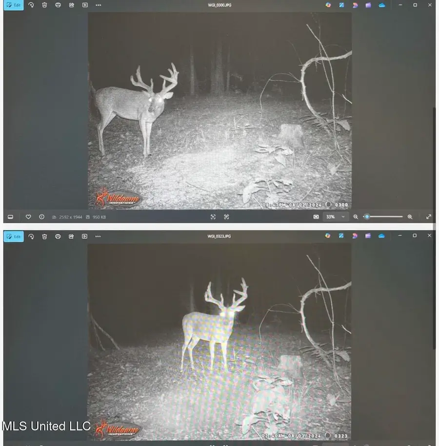 00 Phillips Road, Cruger, MS 38924 - Image #2