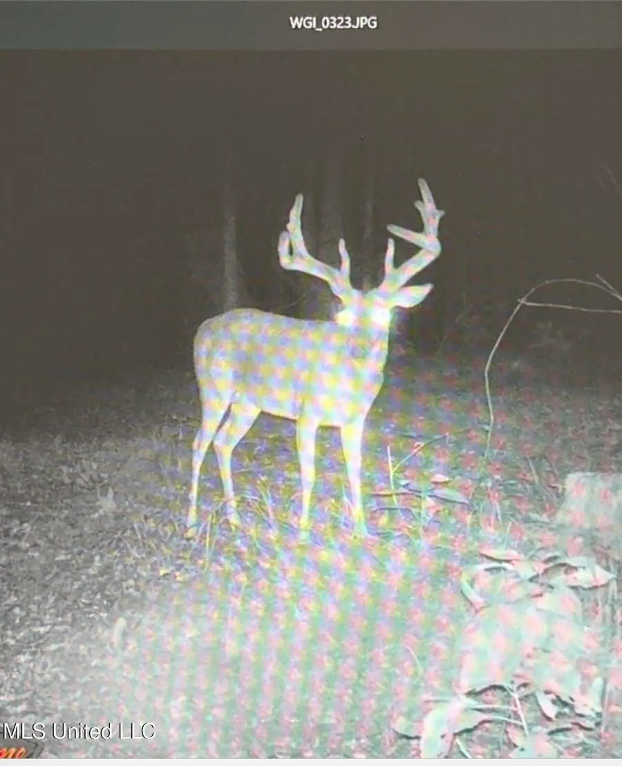 00 Phillips Road, Cruger, MS 38924 - Image #3