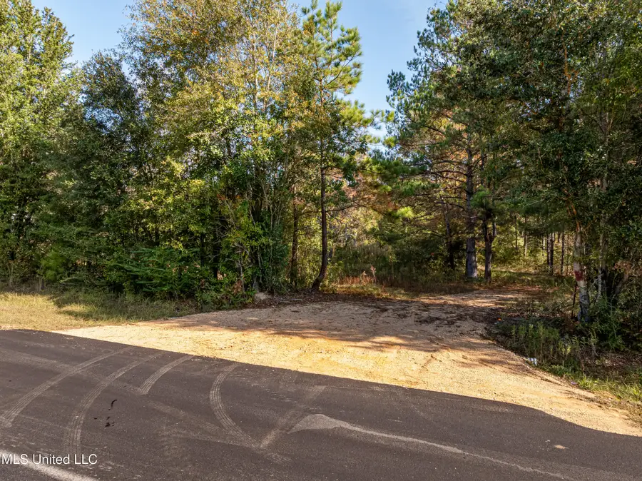 00 Beach Road, Purvis, MS 39475 - Image #2