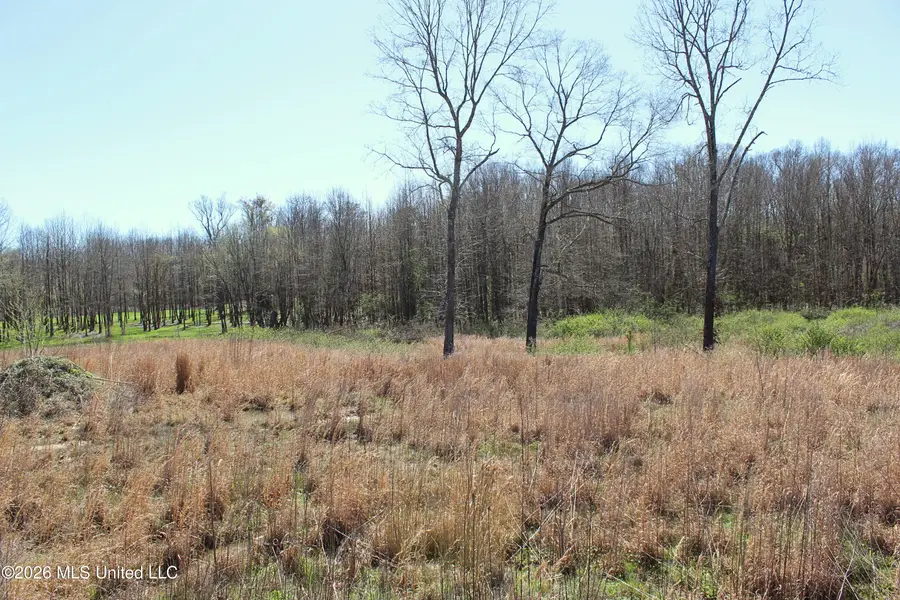 13135 Pebble View Drive, Byhalia, MS 38611 - #2