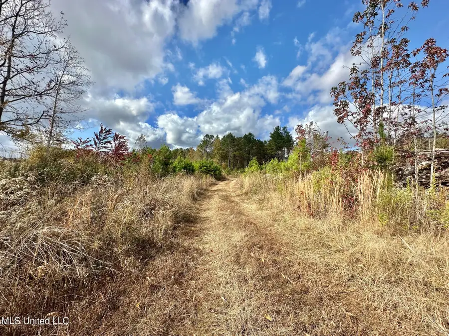 1 Truitt Rd, Pickens, MS 39146 - Image #2