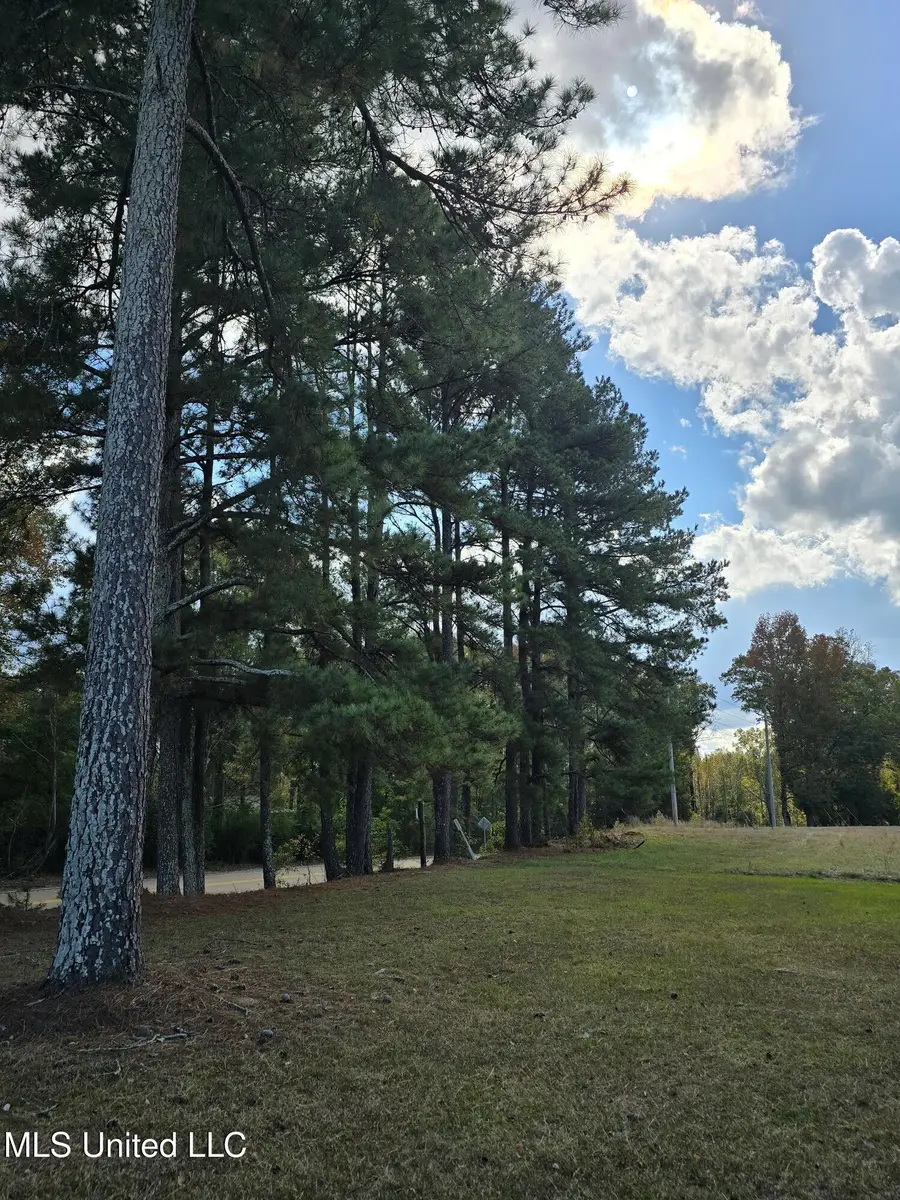 0 Hwy 13, Mendenhall, MS 39114 - Image #3