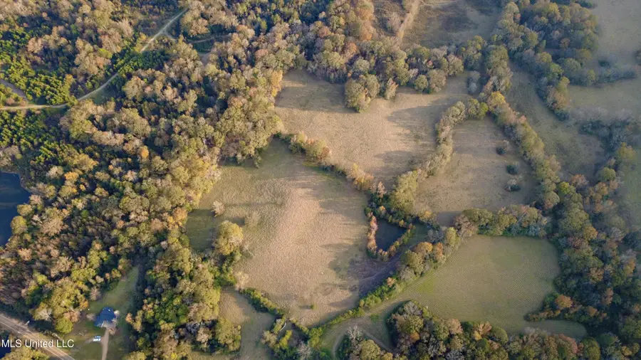 3142 King Road, Wesson, MS 39191 - Image #3