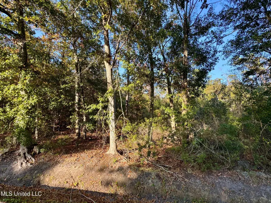 Sycamore Street, Bay Saint Louis, MS 39520 - Image #2