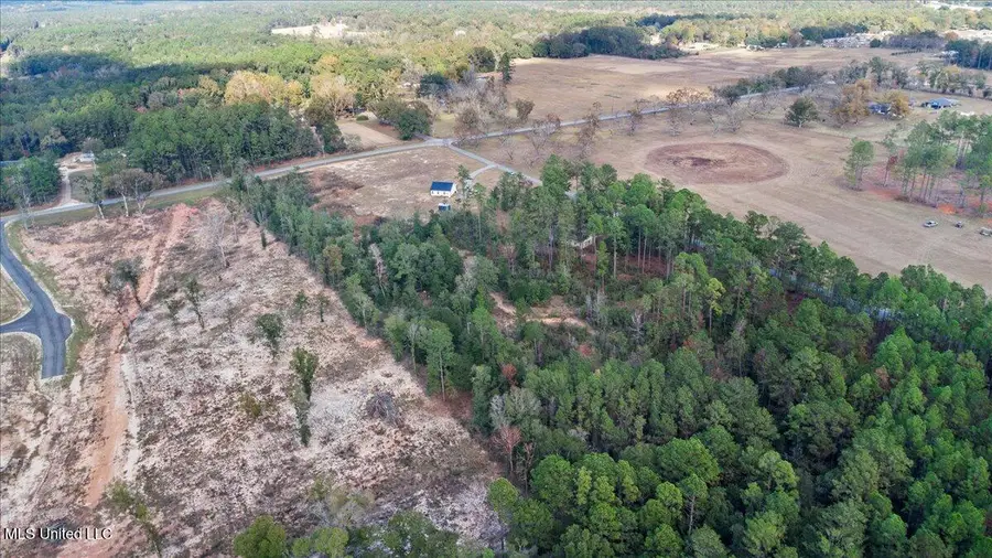 Nsn Brashier Lane, Lucedale, MS 39452 - Image #3