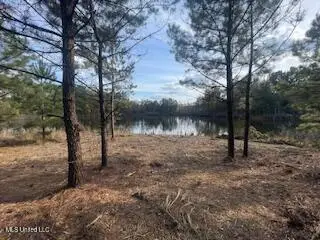 1043 Hwy 24 W, McComb, MS 39648 - Image #1