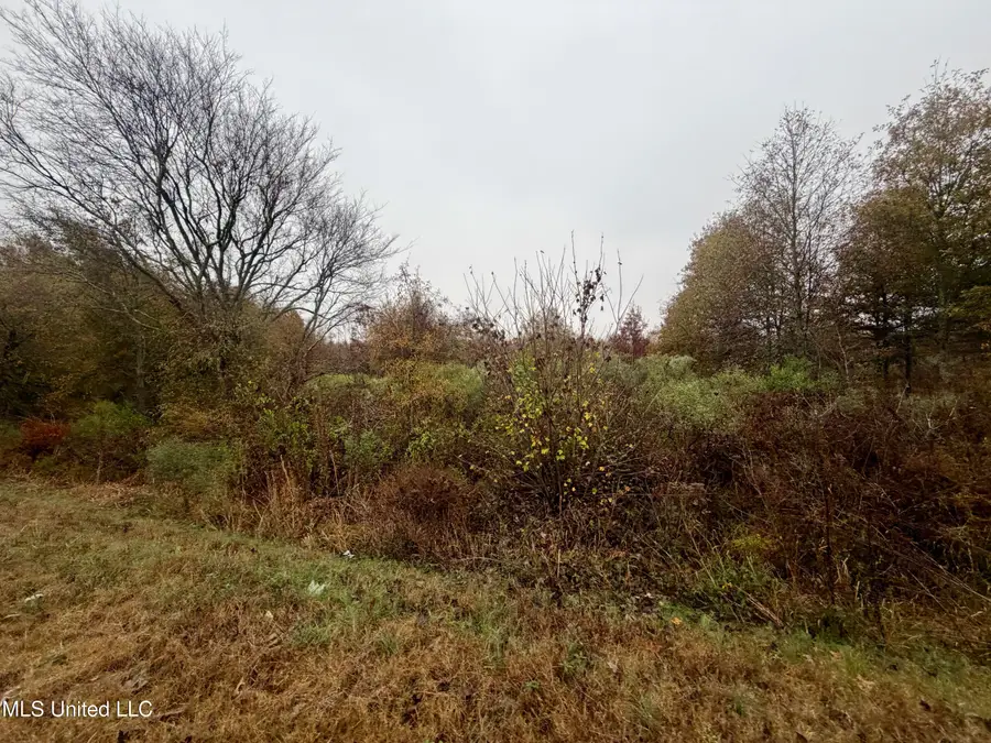 Fairview Road, Charleston, MS 38921 - Image #3