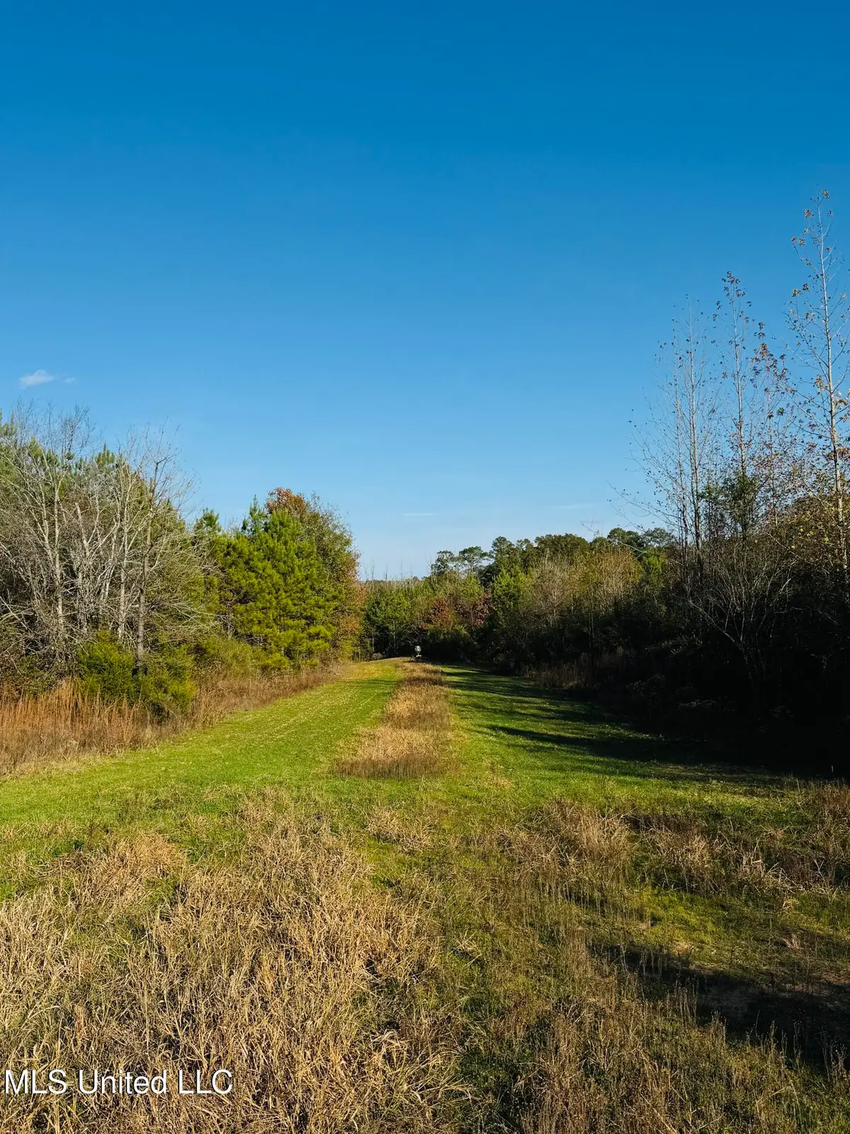 Attala County Road 4210, Sallis, MS 39160 - Image #1