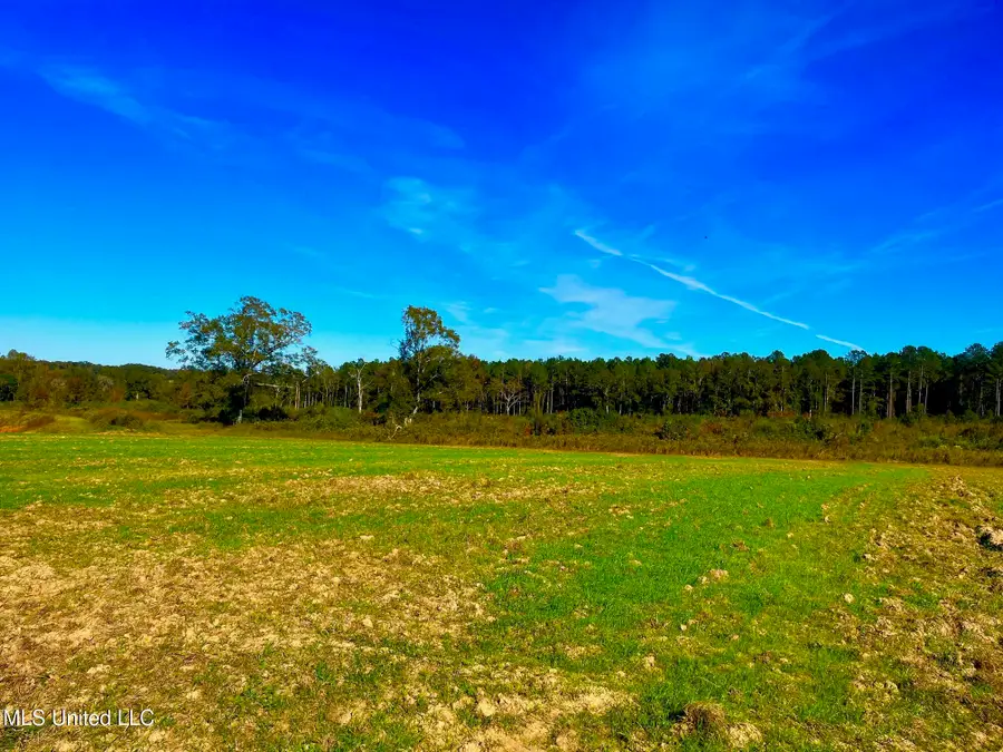 Darbun China Grove Road, Sandy Hook, MS 39478 - Image #3