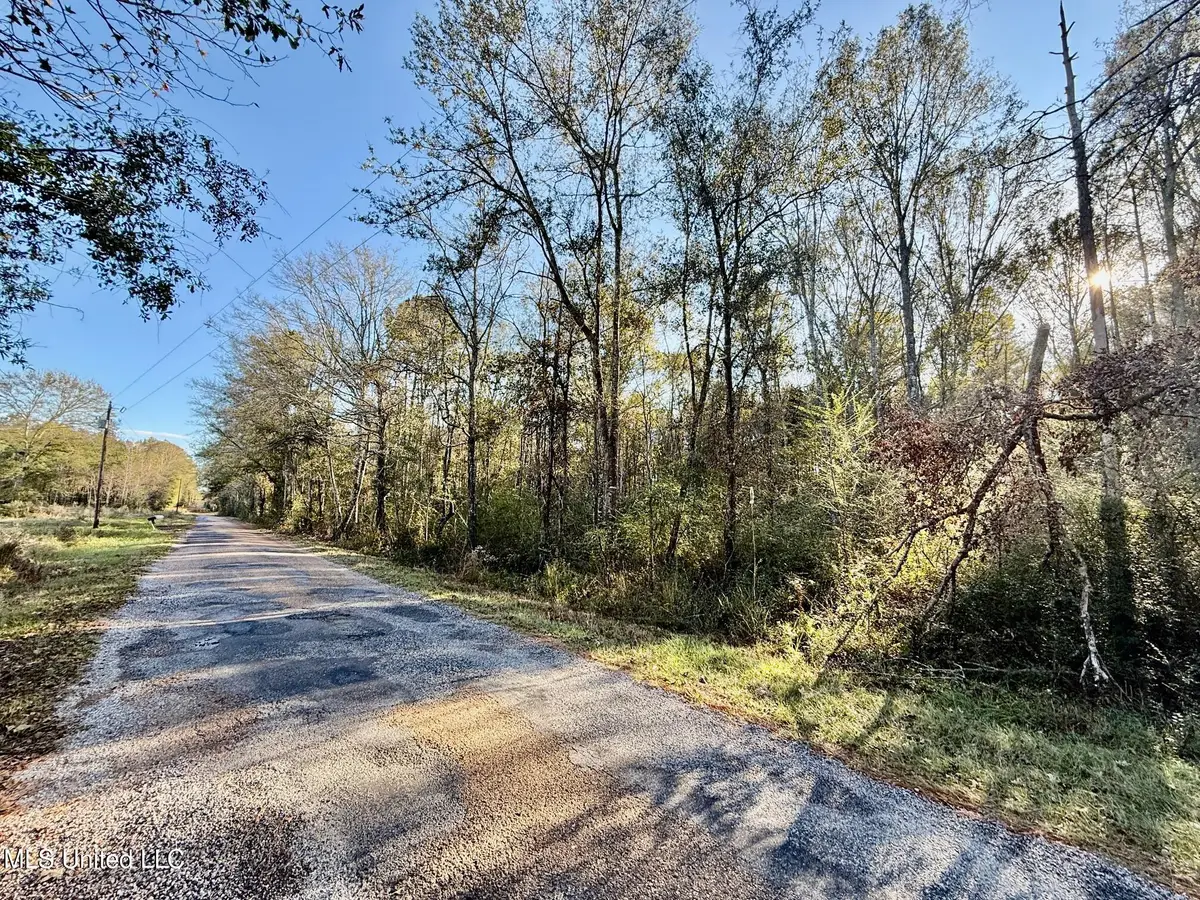 SW Lin Frank Line Road, Smithdale, MS 39664 - #1