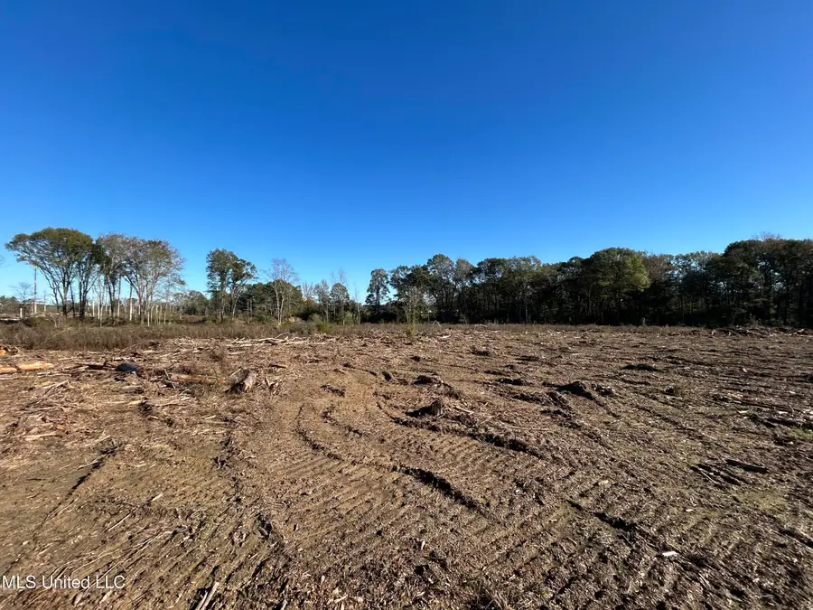 Warren Cook Road, Mendenhall, MS 39114 - Image #3