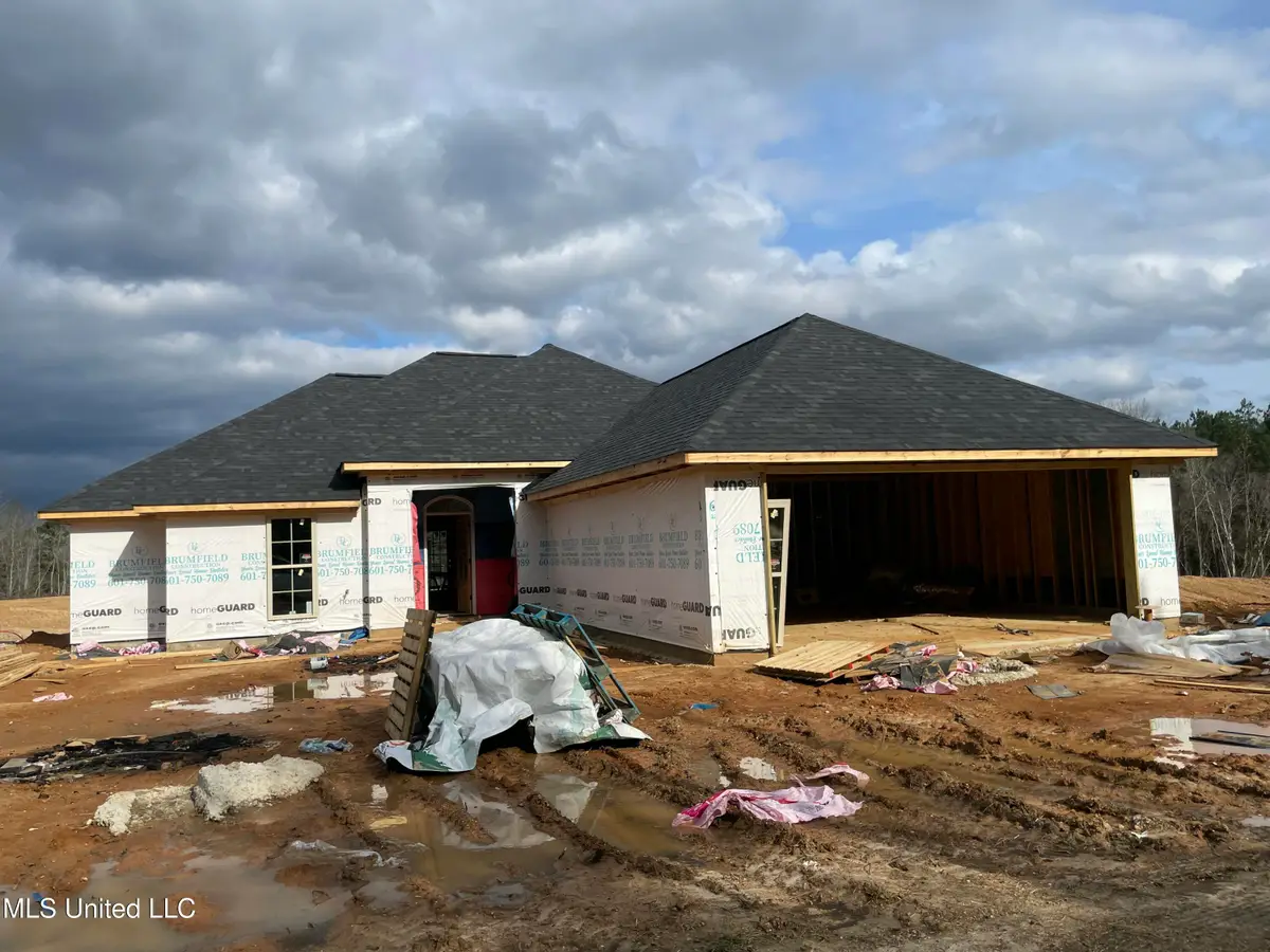 1132 Crews Lane, Crystal Springs, MS 39059 - Image #1