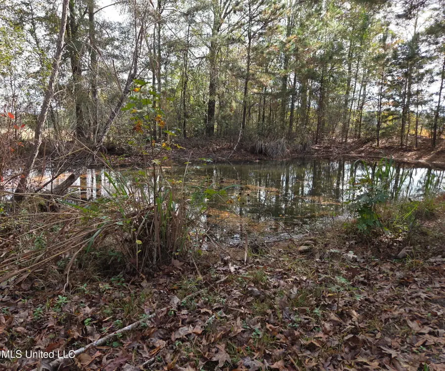 6699 County Road 280, Vossburg, MS 39366 - Image #3