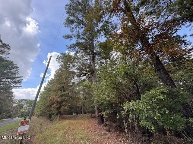 Coons Mill Road, Centreville, MS 39631 - #1