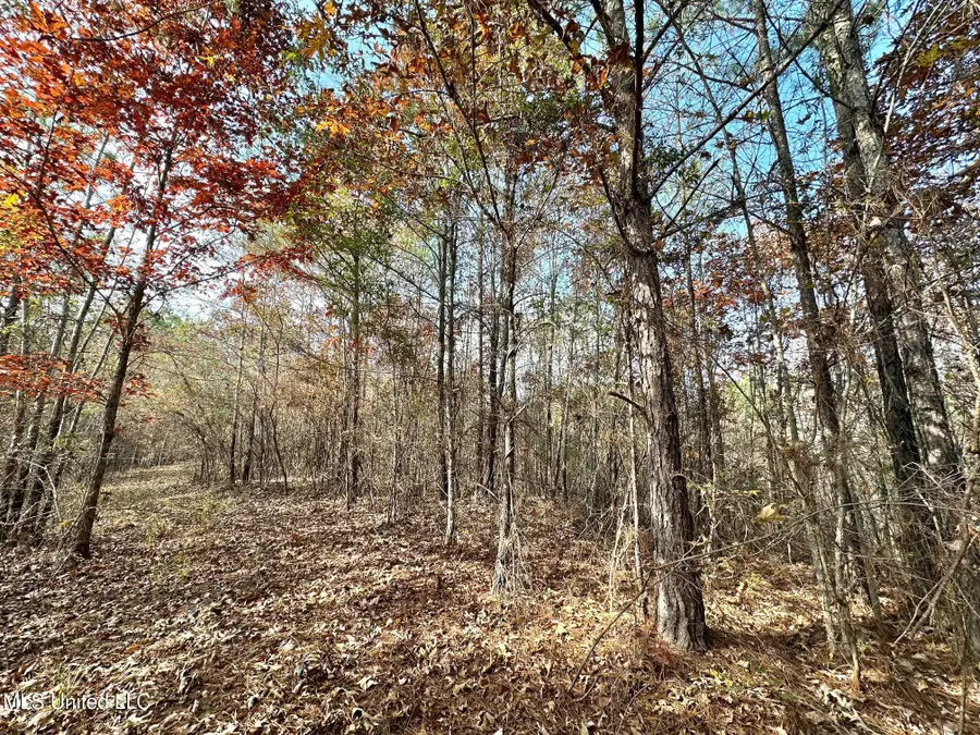 4 County Road 3122, McCool, MS 39108 - Image #3