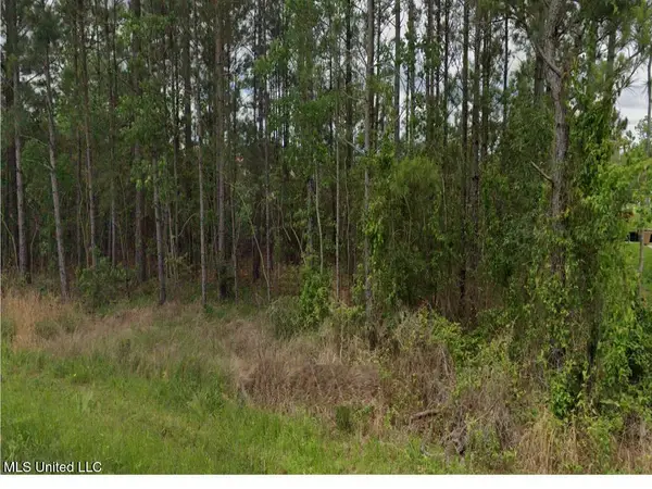 Lark Street, Bay Saint Louis, MS 39520