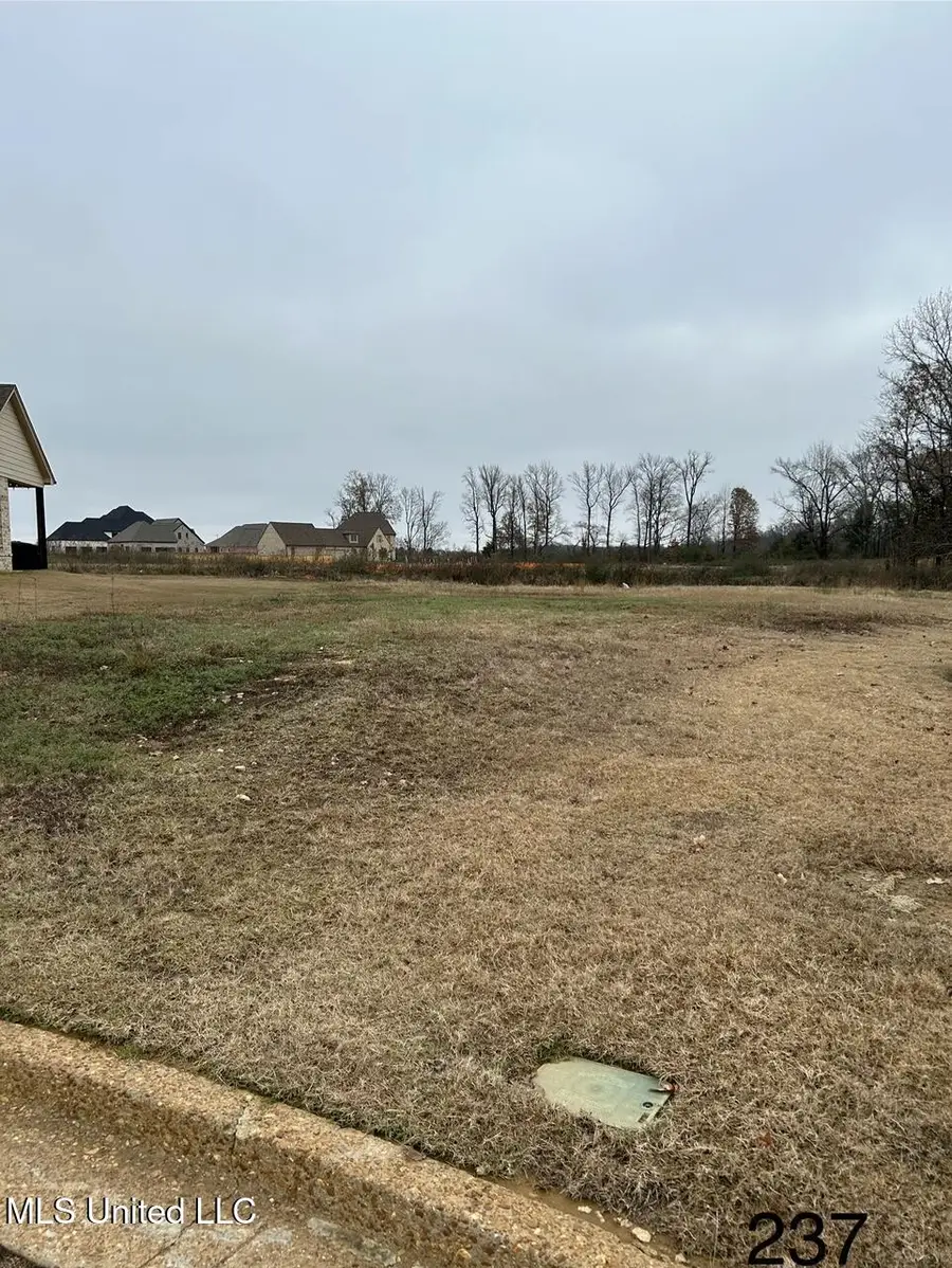 4298 Piland Park Cove, Olive Branch, MS 38654 - Image #2