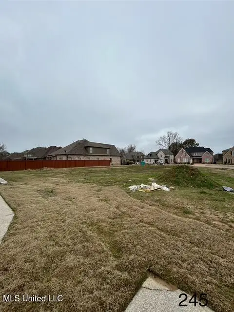 Bolivar Trail N, Olive Branch, MS 38654 - Image #1